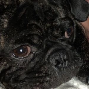 Meet your Posher, Laurie